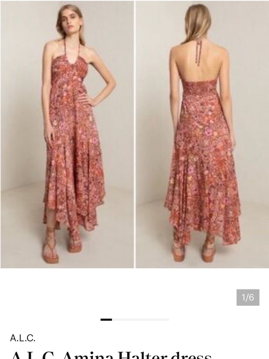 A.L.C. Dresses & Skirts - A.L.C. Halter Maxi Dress in Rust Floral